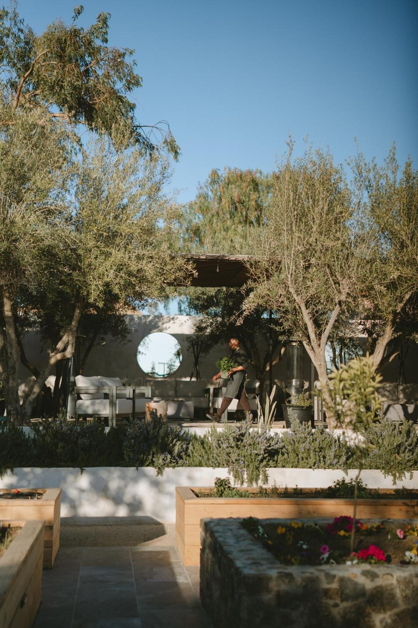 Mya Hotel Valle de Guadalupe Exterior photo